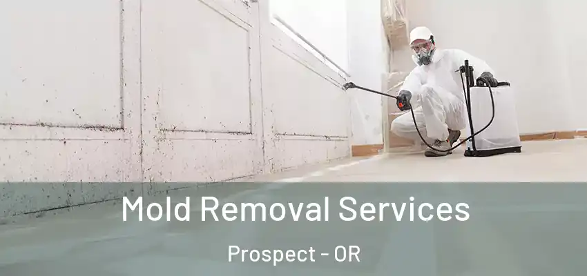  Mold Removal Services Prospect - OR