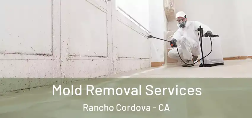  Mold Removal Services Rancho Cordova - CA
