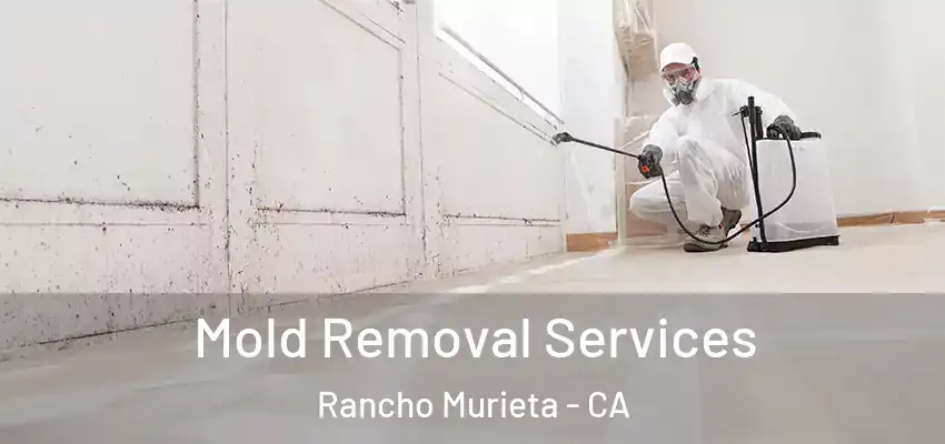  Mold Removal Services Rancho Murieta - CA