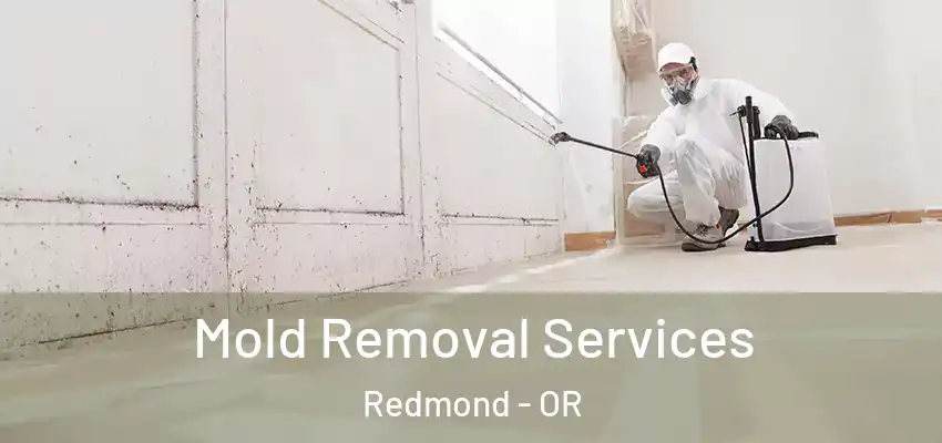  Mold Removal Services Redmond - OR
