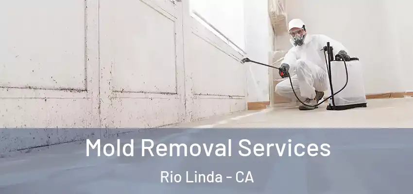  Mold Removal Services Rio Linda - CA