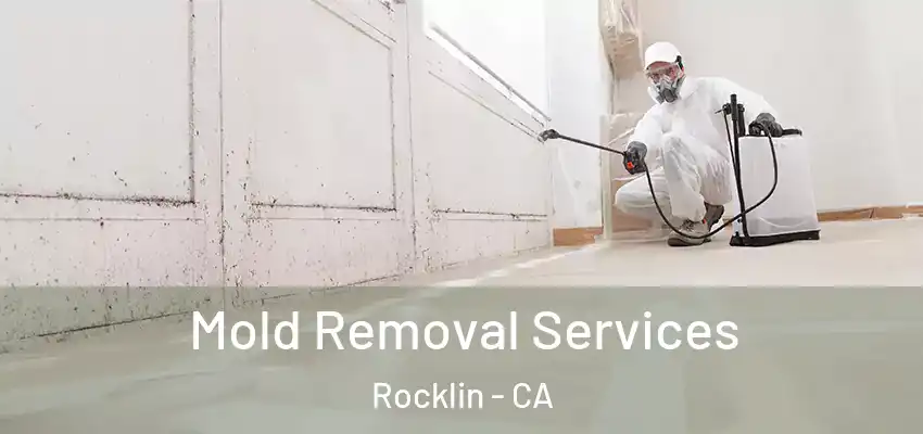  Mold Removal Services Rocklin - CA