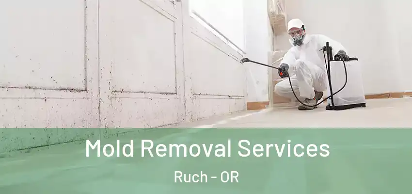 Mold Removal Services Ruch - OR