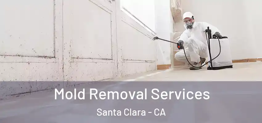  Mold Removal Services Santa Clara - CA