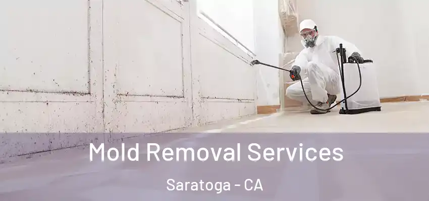  Mold Removal Services Saratoga - CA