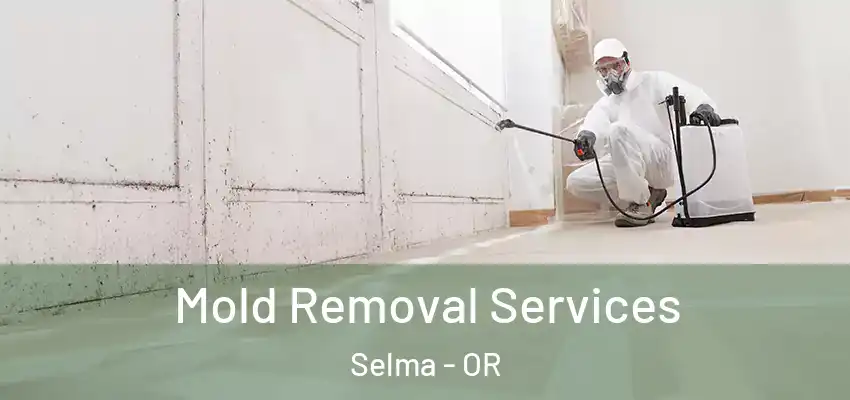  Mold Removal Services Selma - OR
