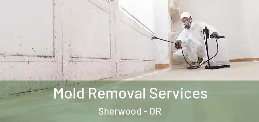  Mold Removal Services Sherwood - OR