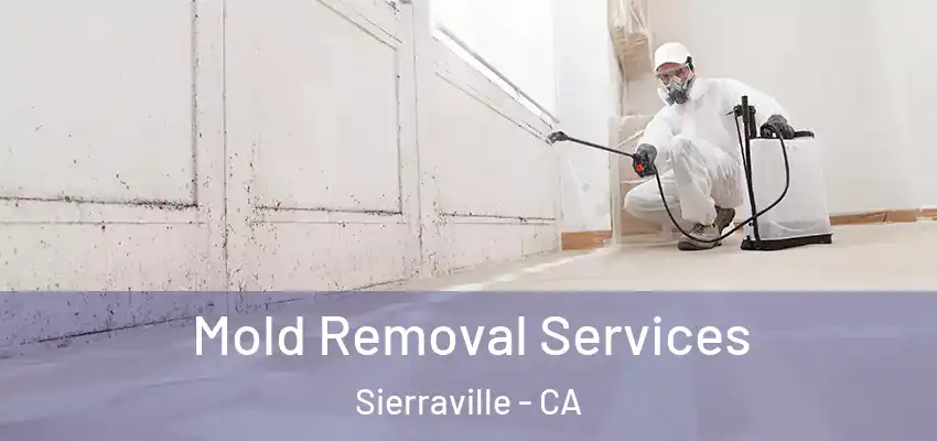  Mold Removal Services Sierraville - CA