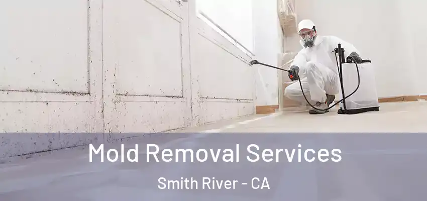  Mold Removal Services Smith River - CA