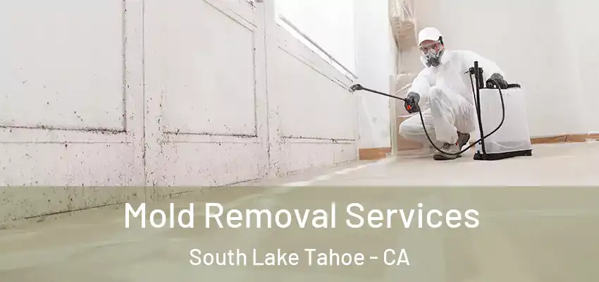  Mold Removal Services South Lake Tahoe - CA
