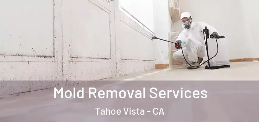 Mold Removal Services Tahoe Vista - CA