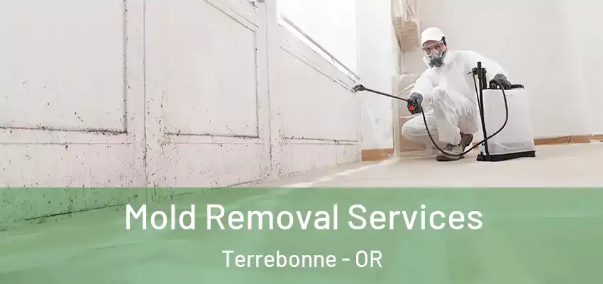  Mold Removal Services Terrebonne - OR