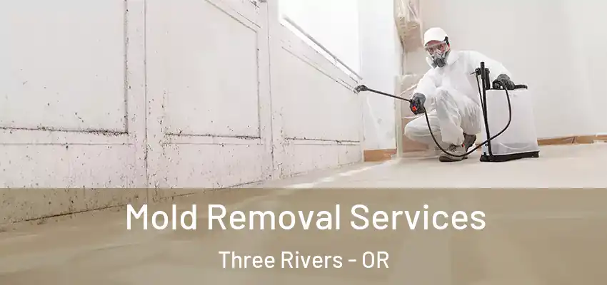  Mold Removal Services Three Rivers - OR