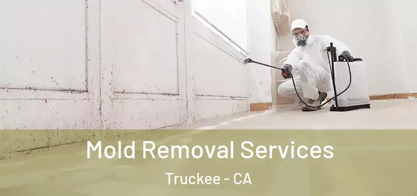  Mold Removal Services Truckee - CA