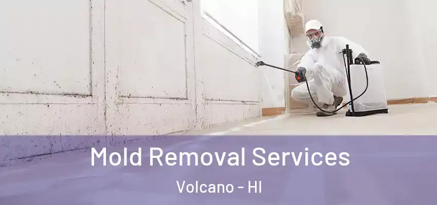 Mold Removal Services Volcano - HI