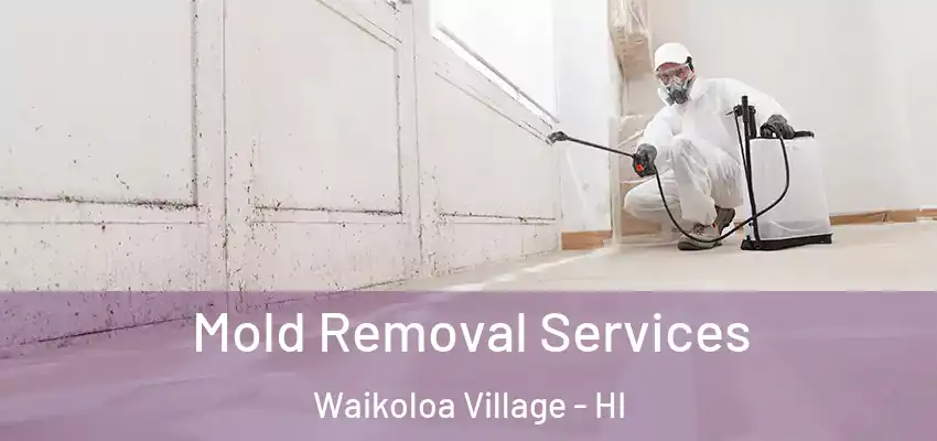  Mold Removal Services Waikoloa Village - HI