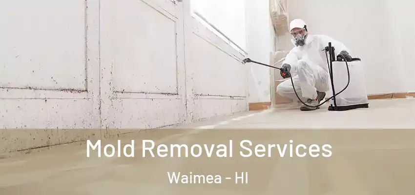  Mold Removal Services Waimea - HI