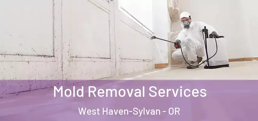  Mold Removal Services West Haven-Sylvan - OR