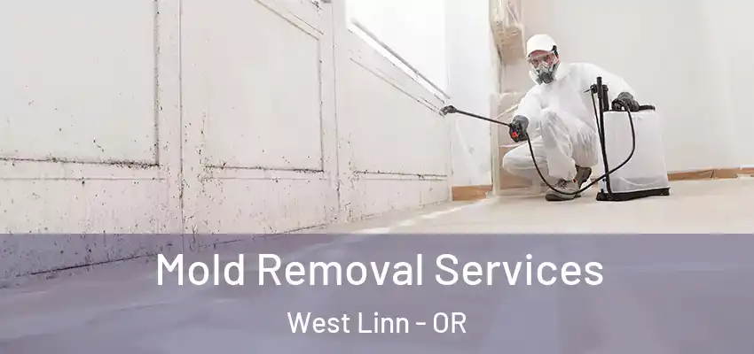  Mold Removal Services West Linn - OR