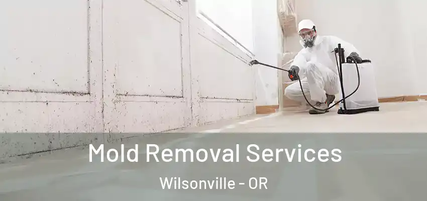  Mold Removal Services Wilsonville - OR