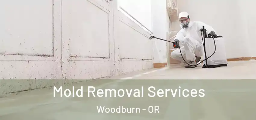  Mold Removal Services Woodburn - OR