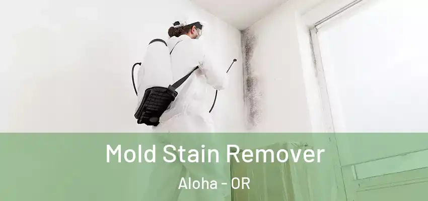  Mold Stain Remover Aloha - OR