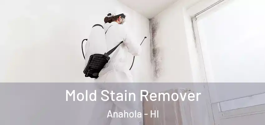  Mold Stain Remover Anahola - HI