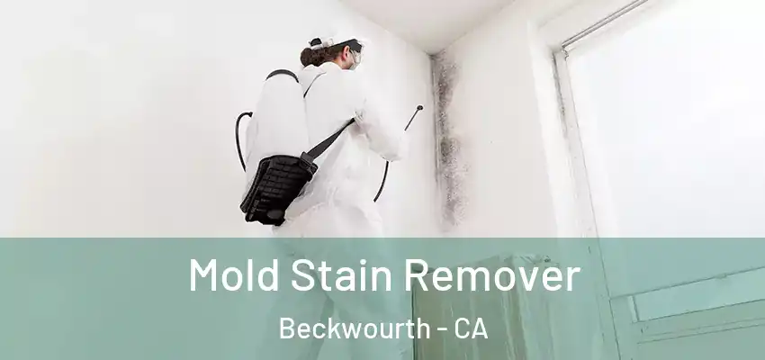  Mold Stain Remover Beckwourth - CA