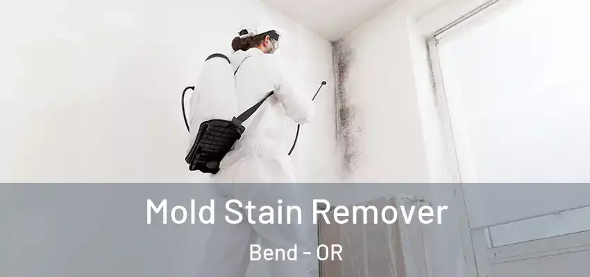  Mold Stain Remover Bend - OR