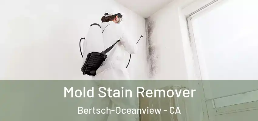 Mold Stain Remover Bertsch-Oceanview - CA