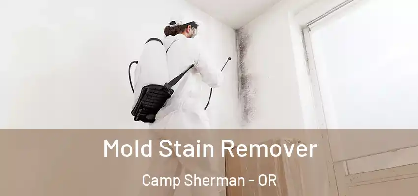  Mold Stain Remover Camp Sherman - OR