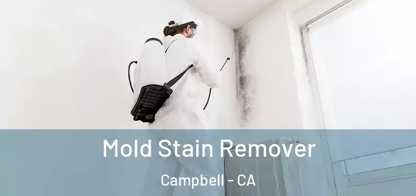  Mold Stain Remover Campbell - CA