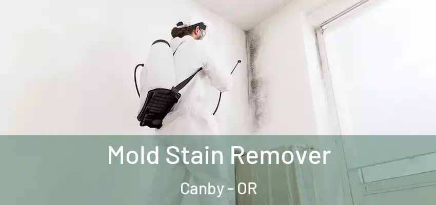  Mold Stain Remover Canby - OR