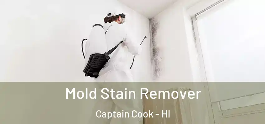  Mold Stain Remover Captain Cook - HI
