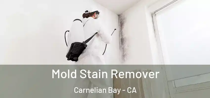  Mold Stain Remover Carnelian Bay - CA