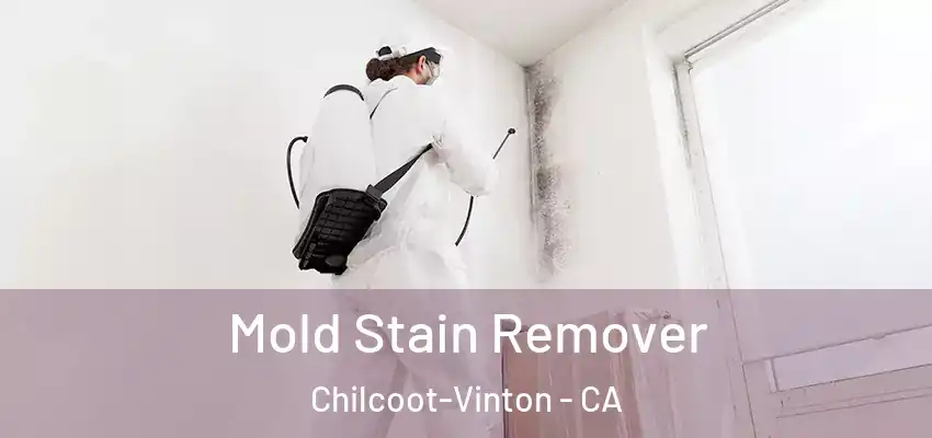 Mold Stain Remover Chilcoot-Vinton - CA