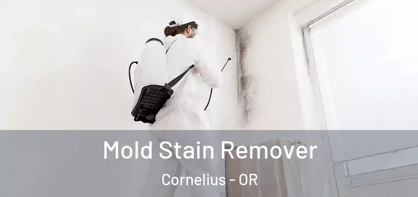  Mold Stain Remover Cornelius - OR