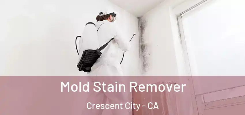  Mold Stain Remover Crescent City - CA