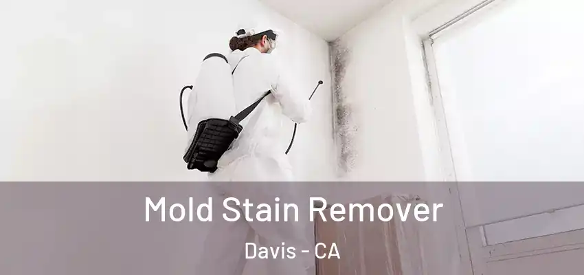  Mold Stain Remover Davis - CA