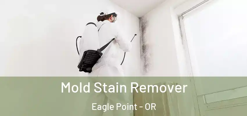  Mold Stain Remover Eagle Point - OR