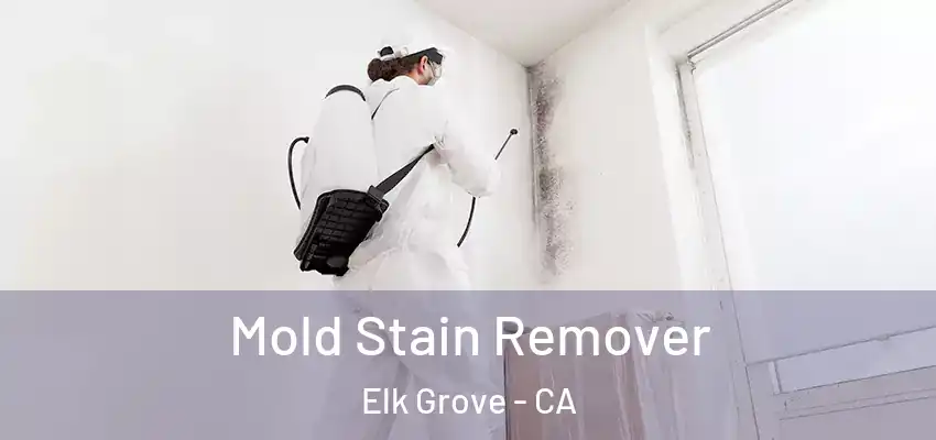  Mold Stain Remover Elk Grove - CA