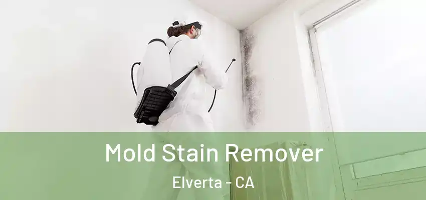  Mold Stain Remover Elverta - CA