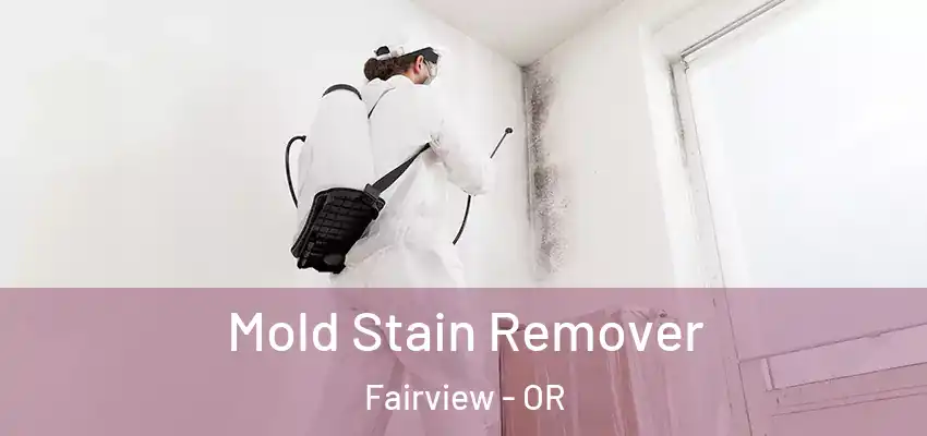  Mold Stain Remover Fairview - OR