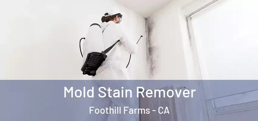  Mold Stain Remover Foothill Farms - CA