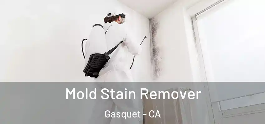  Mold Stain Remover Gasquet - CA