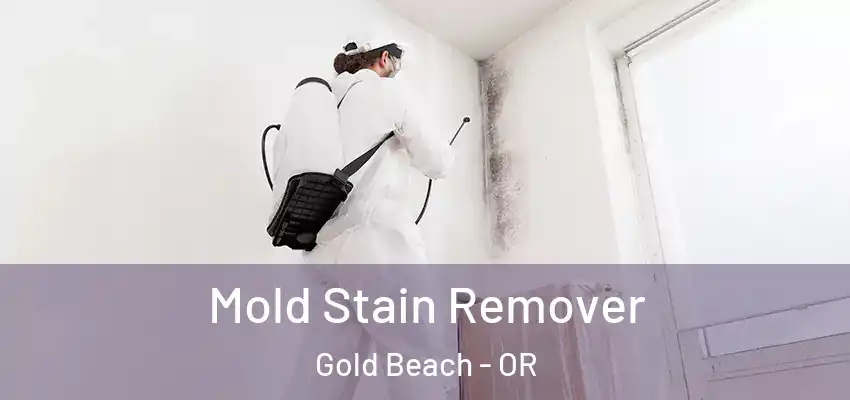  Mold Stain Remover Gold Beach - OR