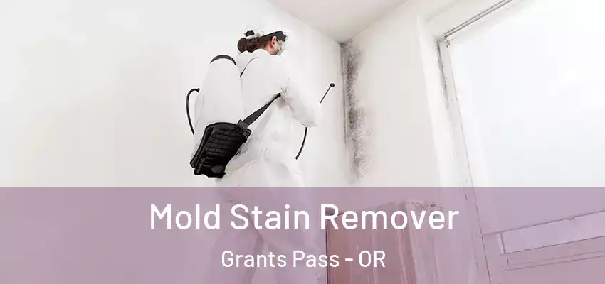  Mold Stain Remover Grants Pass - OR