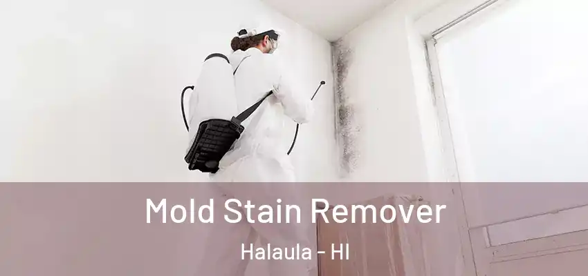  Mold Stain Remover Halaula - HI