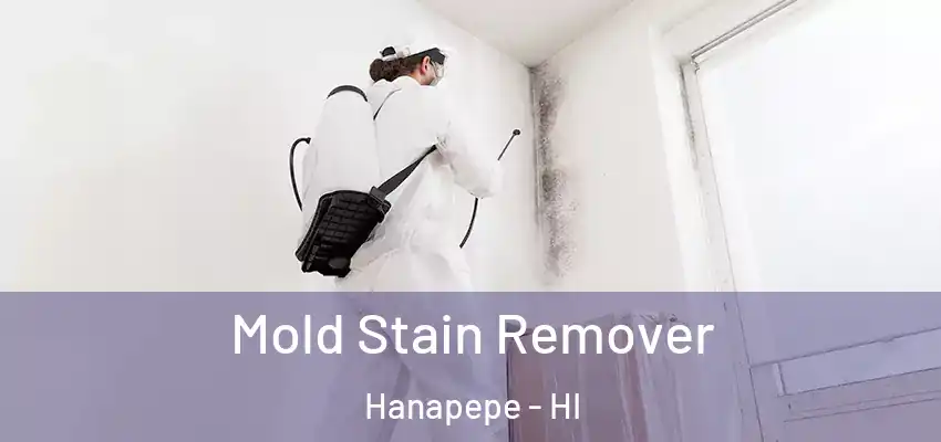  Mold Stain Remover Hanapepe - HI