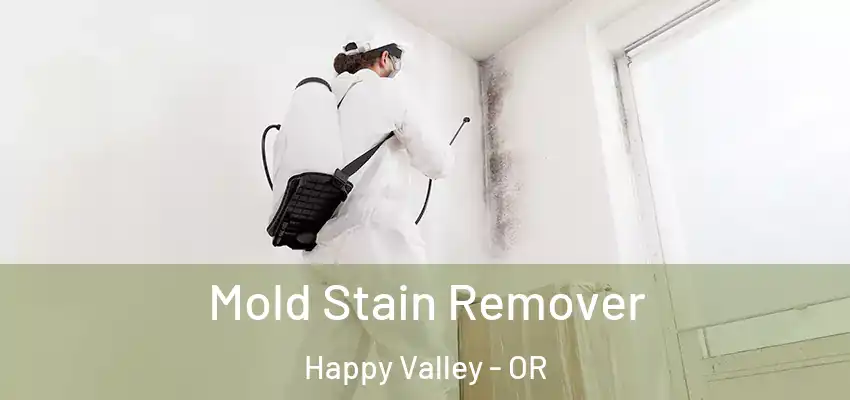  Mold Stain Remover Happy Valley - OR
